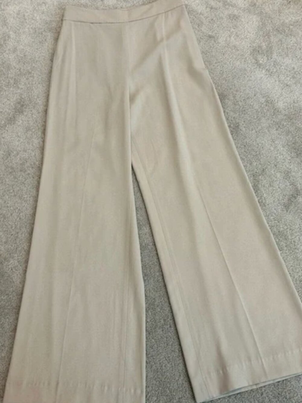 Aritzia Babaton High Rise, Wide Leg Trouser